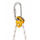 Poulie bloqueur Micro Traxion P53 PETZL