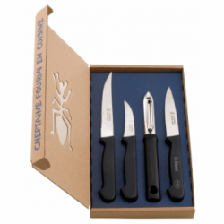 COFFRET CHEFTAINE FOURMI POLYPRO NOIR