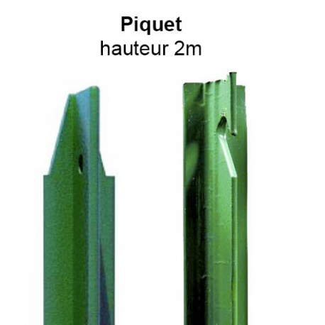 Piquet en T 2m vert