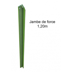 Jambe de force 1m20 vert