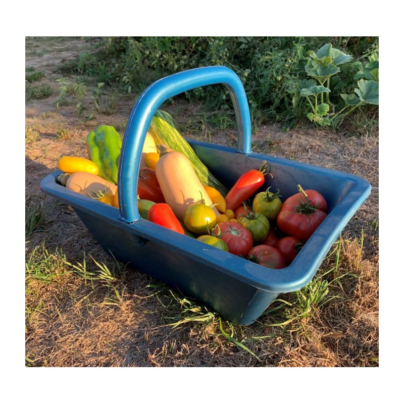 Panier à vendanges de 12,7 cm de haut