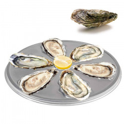 Assiette à huîtres jetable