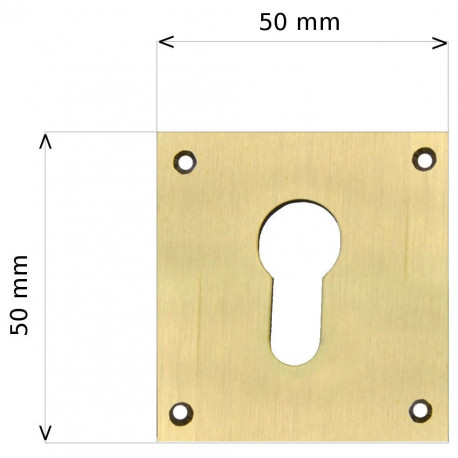 Entrée laiton cache cylindre 50x50