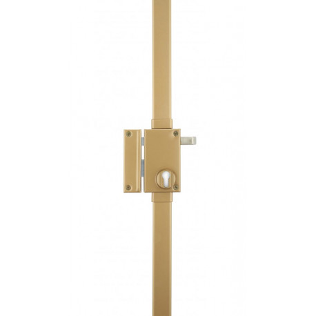 3PT TARGA BRONZE VERT. TIRAGE GHE PORTE 2M25