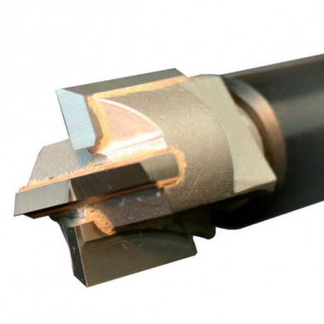 Fraise carbure 16mm pour DPM 100/50