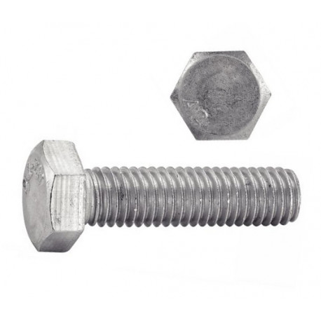 VIS TH INOX A2 12X50