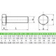 VIS TH INOX A2 12X50