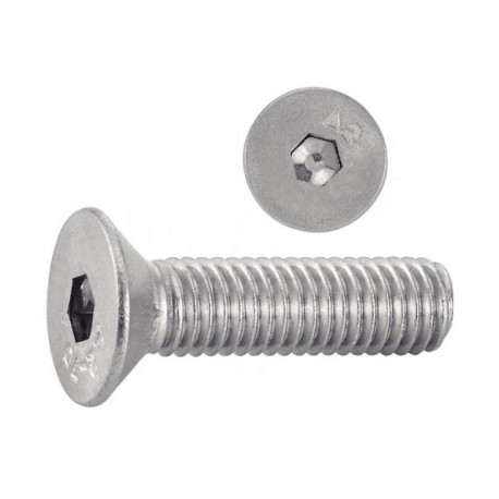 VIS FHC INOX A2 6X100 (boite 100)