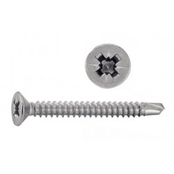Autoforeuse Torx Inox TF Inox A2 4.2 X 19 mm