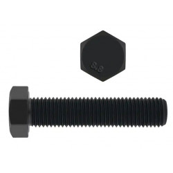 VIS TH 8.8 BRUT FT 16 X 50 mm
