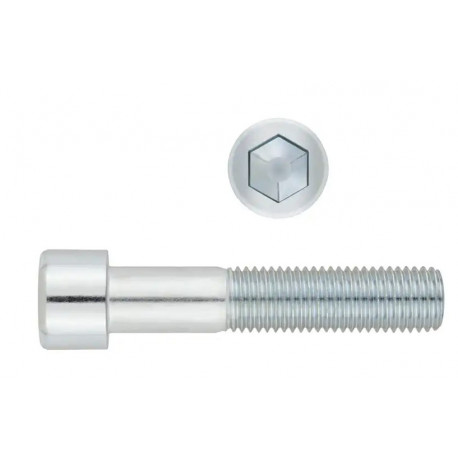 VIS CHC 8.8 ZG. 10 X 60 mm
