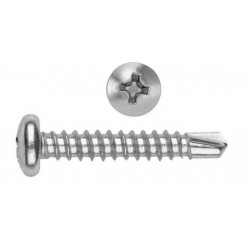 Vis autoforeuse TR 5.5X 19