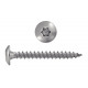 VIS PENTURE INOX A2 TORX 6X20 (boite de 100 )