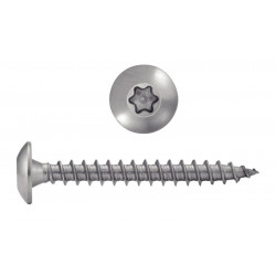 VIS PENTURE INOX A2 TORX 6X20 (boite de 100 )