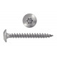 VIS PENTURE INOX A2 TORX 6X30 (boite de 100)