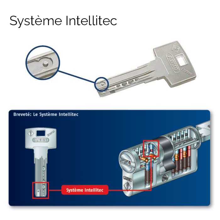 Système Intellitec