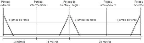 tuto jambe de force